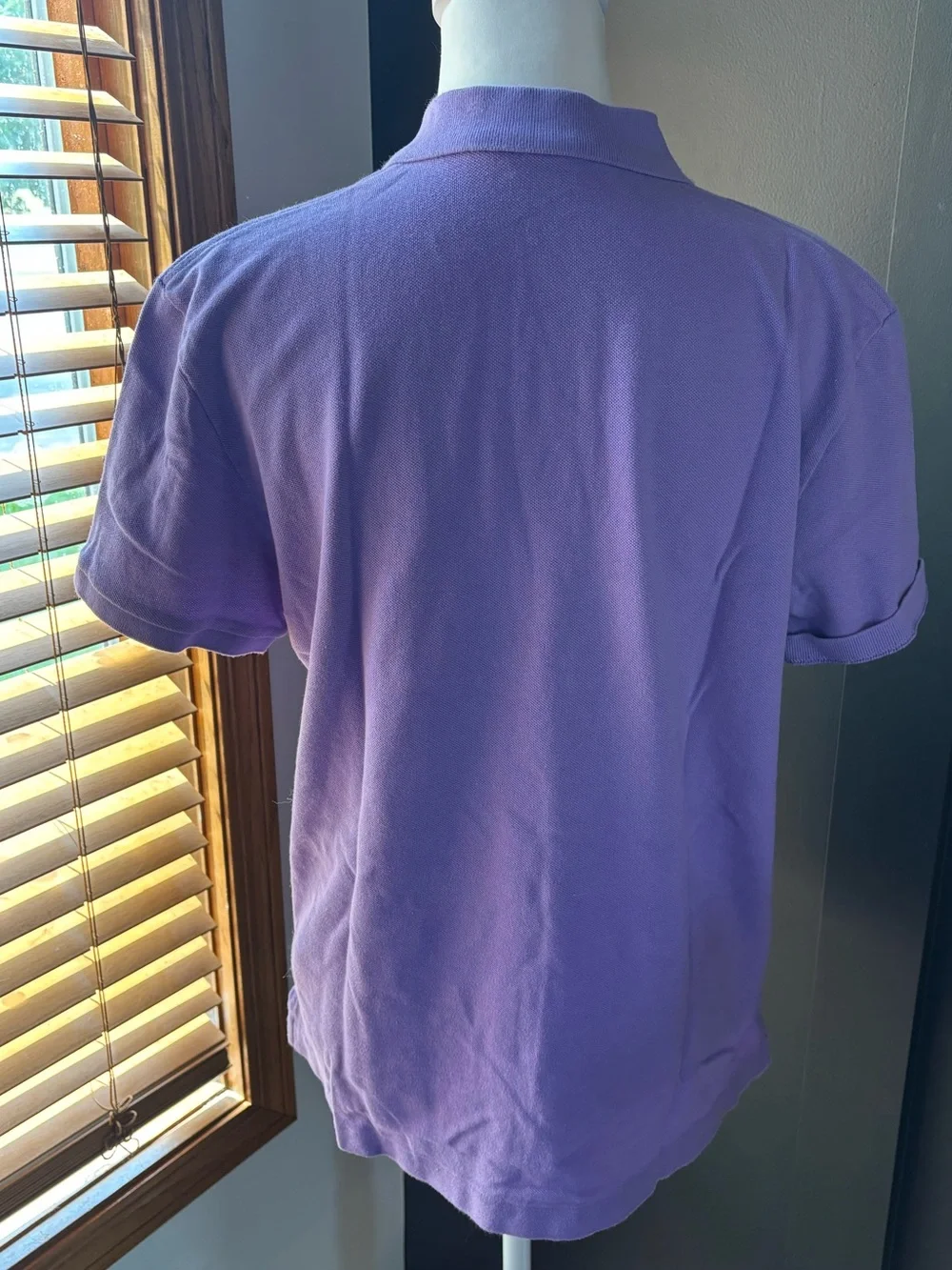 Y2K Ralph Lauren Purple Classic Fit Polo Green Pony Men’s XL